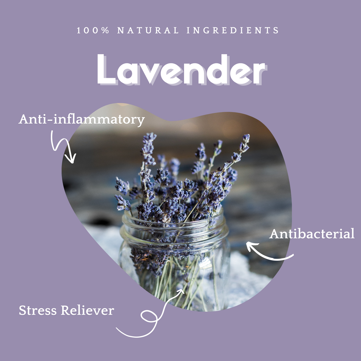 The benefits of Lavender including anti-inflammatory, antibacterial and stress reliving qualities.